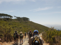 TroopCamp-Day1-17