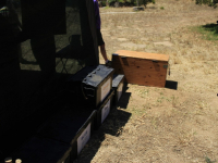 TroopCamp-Day1-242