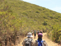 TroopCamp-Day1-29