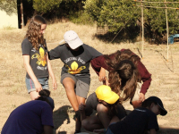 TroopCamp-Day1-384