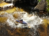 Splash