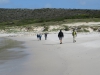 Cape Point 2014 (27)