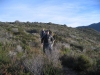 cape-point-017-jpg