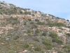 cape-point-026-jpg