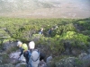 cape-point-033-jpg