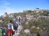 cape-point-060-jpg