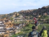 cape-point-145-jpg
