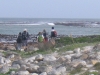 cape-point-179-jpg