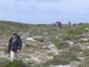 cape-point-181-jpg