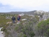 cape-point-197-jpg