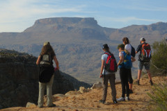 Cederberg 2019