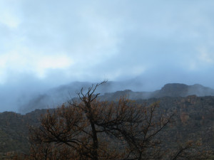 Cederberg-2019-Winter-Expedition5830