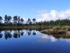 DSCF2006