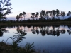 DSCF2045