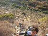 IMG_1713 - Copy