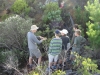 Above the shaft