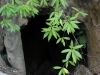 The entrance