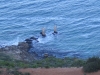 Old Jetty