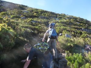 Devils-Peak-5918-