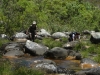 Heading downstream