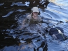 Last swims