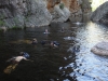 The long cold pool