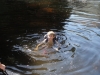 Floating