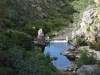 The final swim