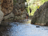 IMG_5447