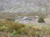 IMG_1147.jpg