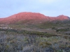 IMG_1168.jpg