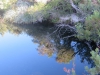 IMG_1235.jpg