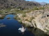 IMG_1253.jpg