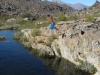IMG_1255.jpg