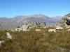 IMG_1294.jpg
