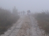 Clouds come down