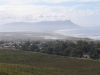 Looking back to Kleinmond