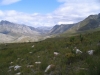 The Kogelberg