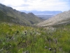 The view down the valley