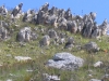 Finger Rocks