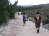 Into the pine plantations