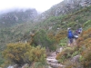 Further up