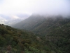 A green Orange Kloof