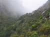 Disa Gorge