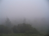 View out the front door