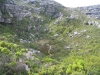 Valley of Isolation
