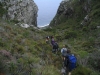 Descending into Woody