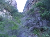 table-mountain-012