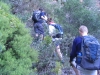 table-mountain-014