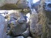 table-mountain-023